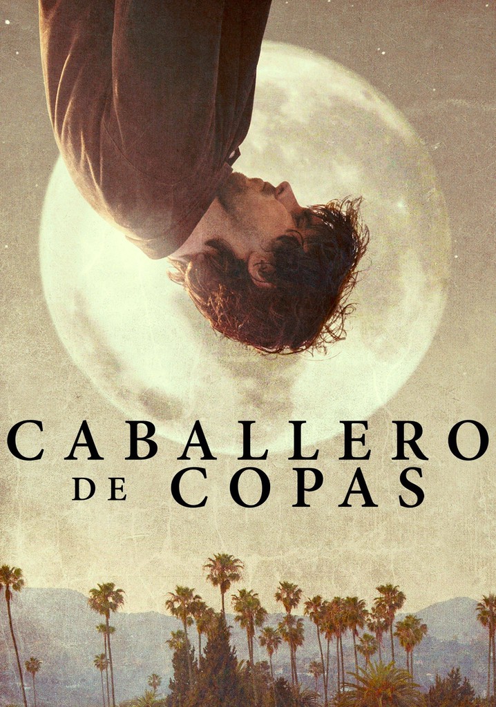 Knight of Cups película Ver online en español